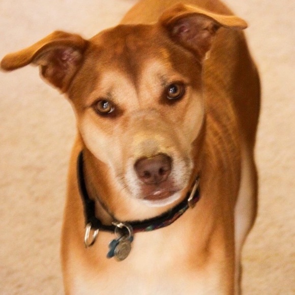 Thank you for the last five years! - Picture 7 of 16